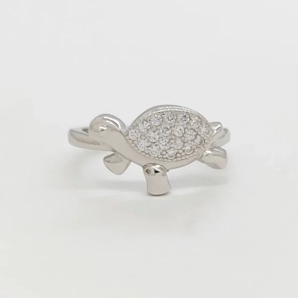 Turtle Bob